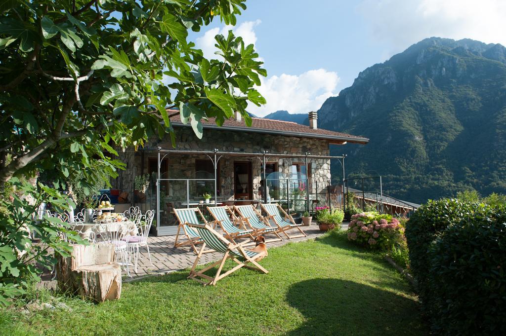 Agriturismo Serec Villa Angolo Terme Exterior foto