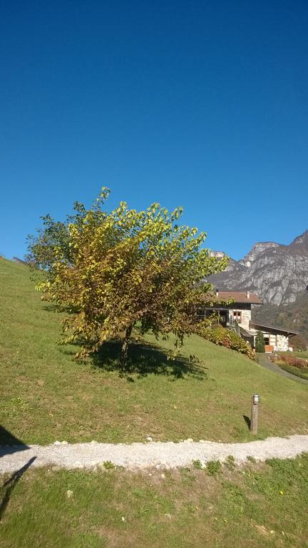 Agriturismo Serec Villa Angolo Terme Exterior foto